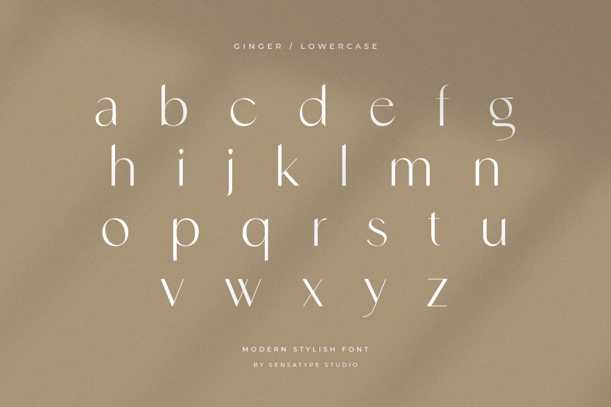 font typography   Typeface Display fonts lettering Calligraphy   modern font stylish font elegant font
