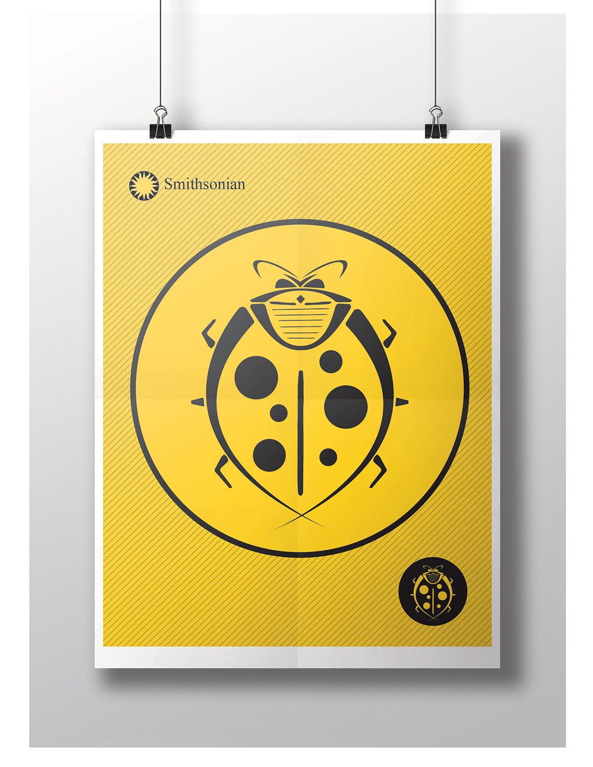smithsonian entomology Exhibition  Icon design graphic poster Insects ant bee beetle spider butterfly Fly dragonfly