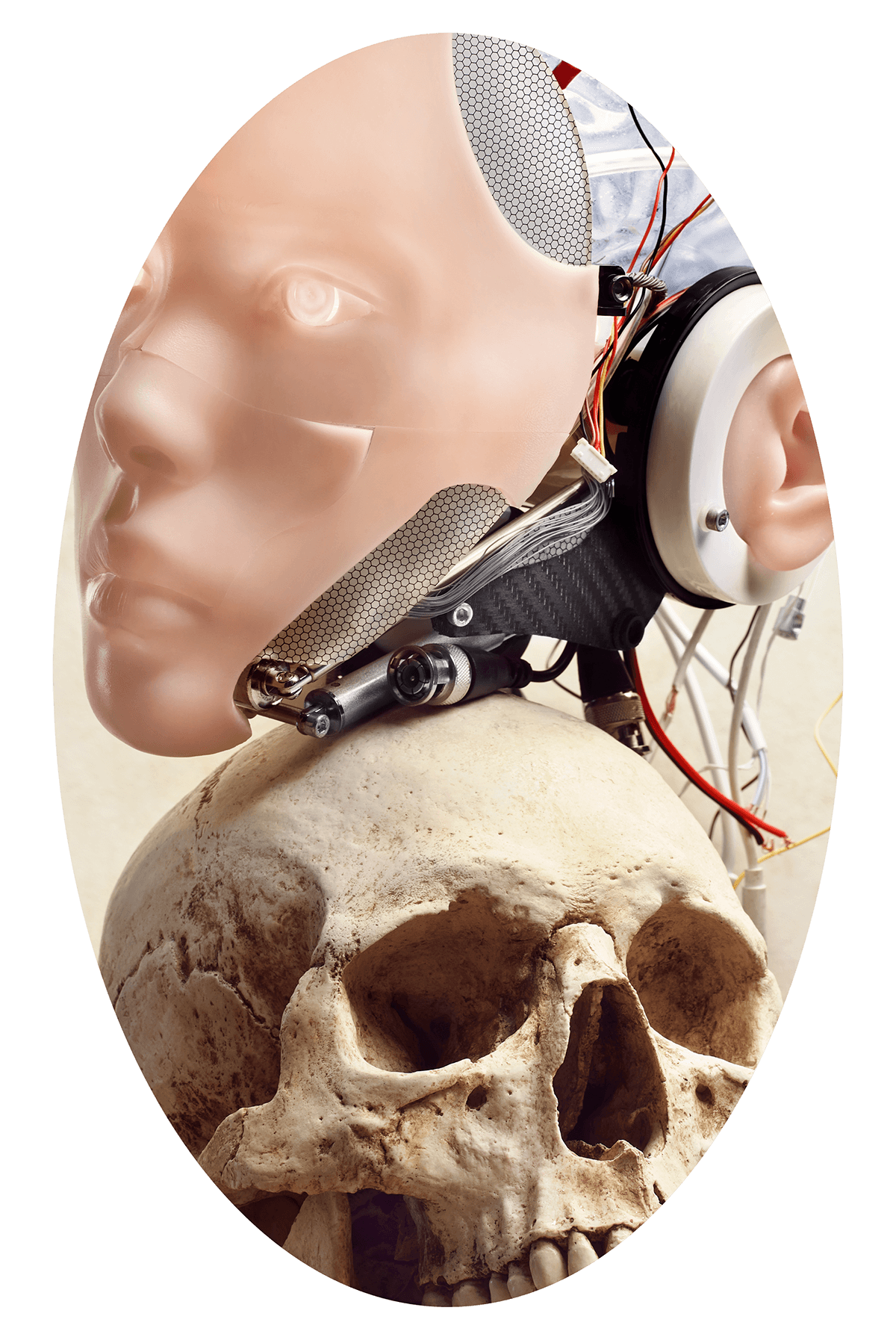 Cyborg skull sculpture fine art Photography  still life set design  Advertising  Cover Book psychology