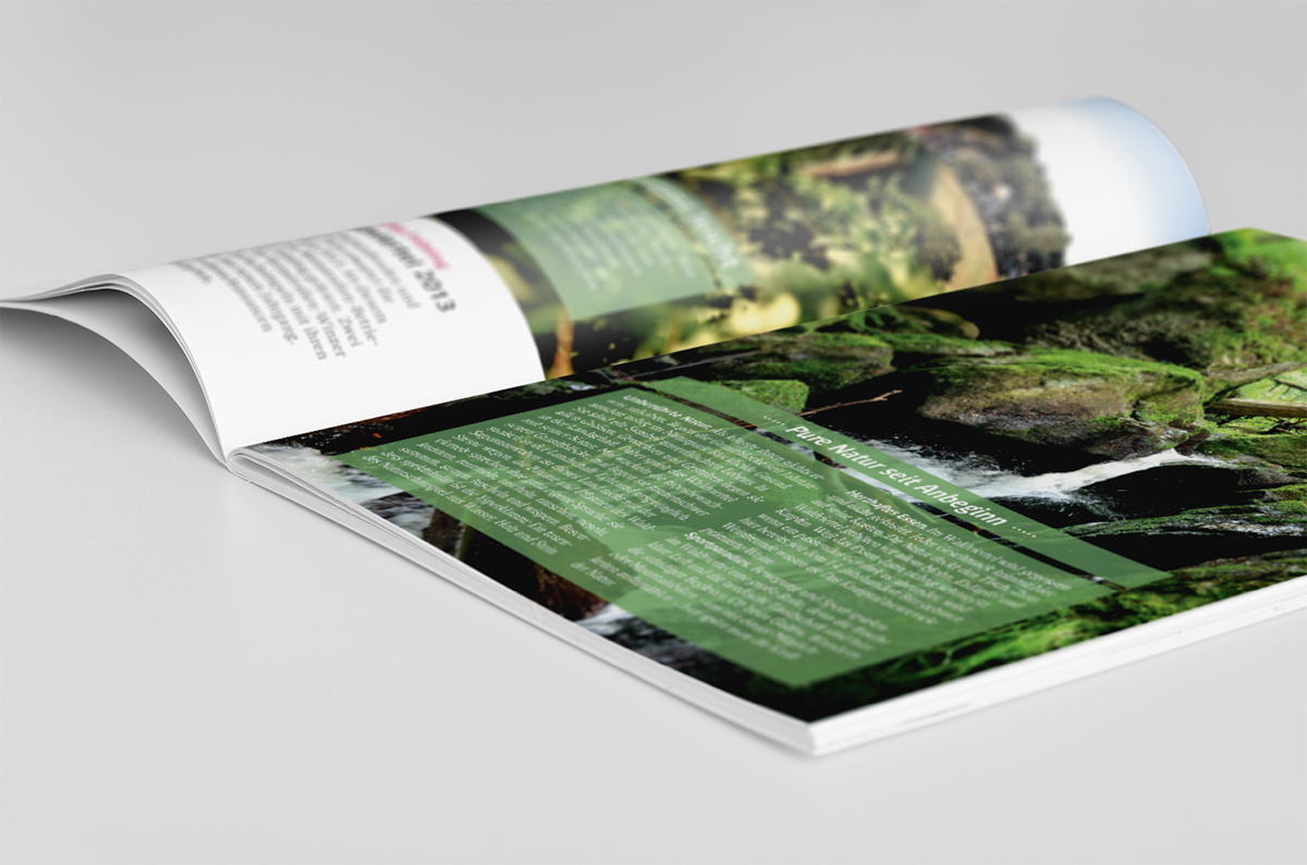 branddesign print video campaign concept magazine loweraustria Holiday