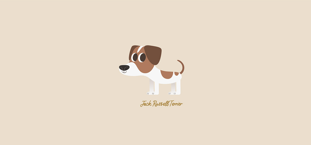 SOME DOGS on Behance