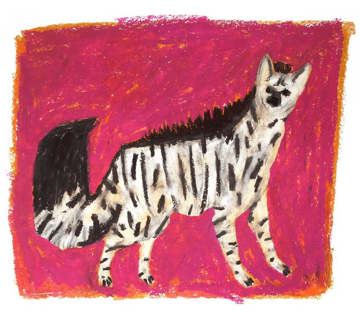 Illustration of a hyena. 