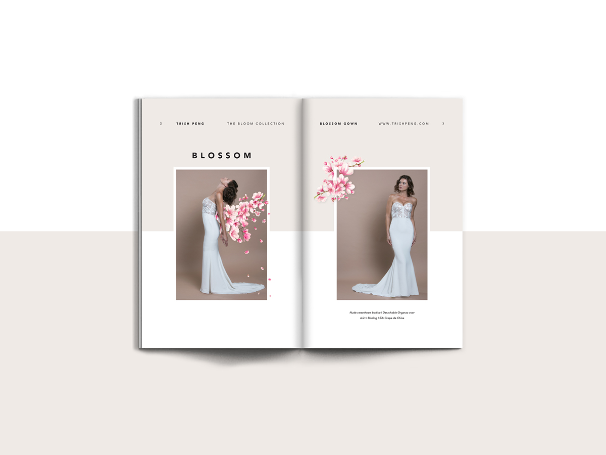 Adobe Portfolio design Lookbook Fashion  colour branding  posters flatlay Photography  creative editorial typography  