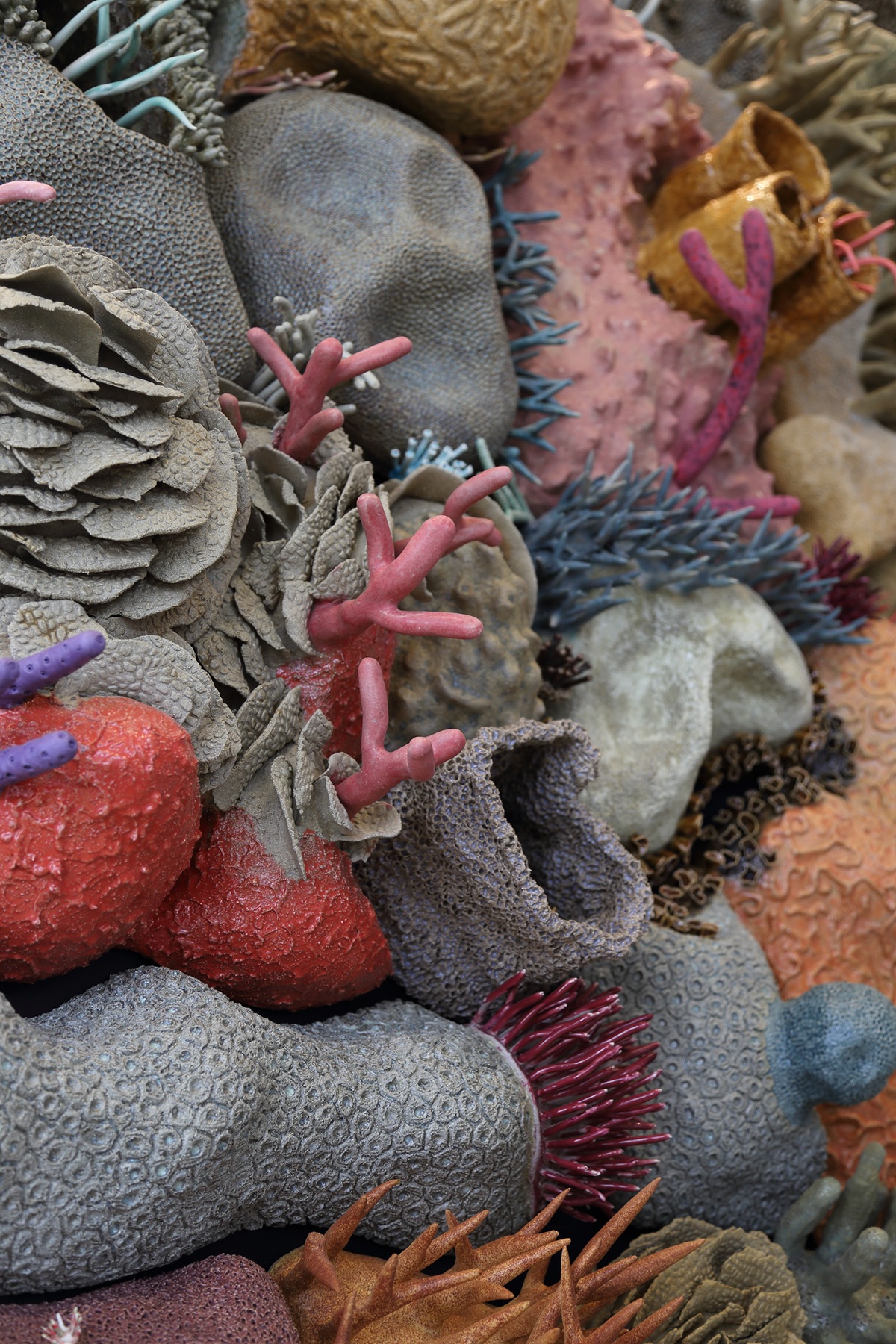 Courtney Mattison coral reef ocean art ceramic sculpture NSU Oceanographic Center Nova Southeastern University ceramics  sculpture clay glaze public art site-specific art contemporary art marine conservation