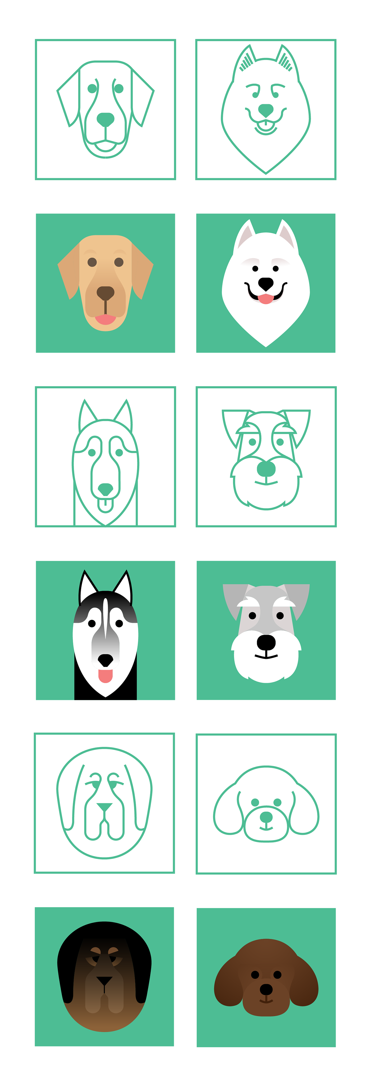 dog doggy portraits