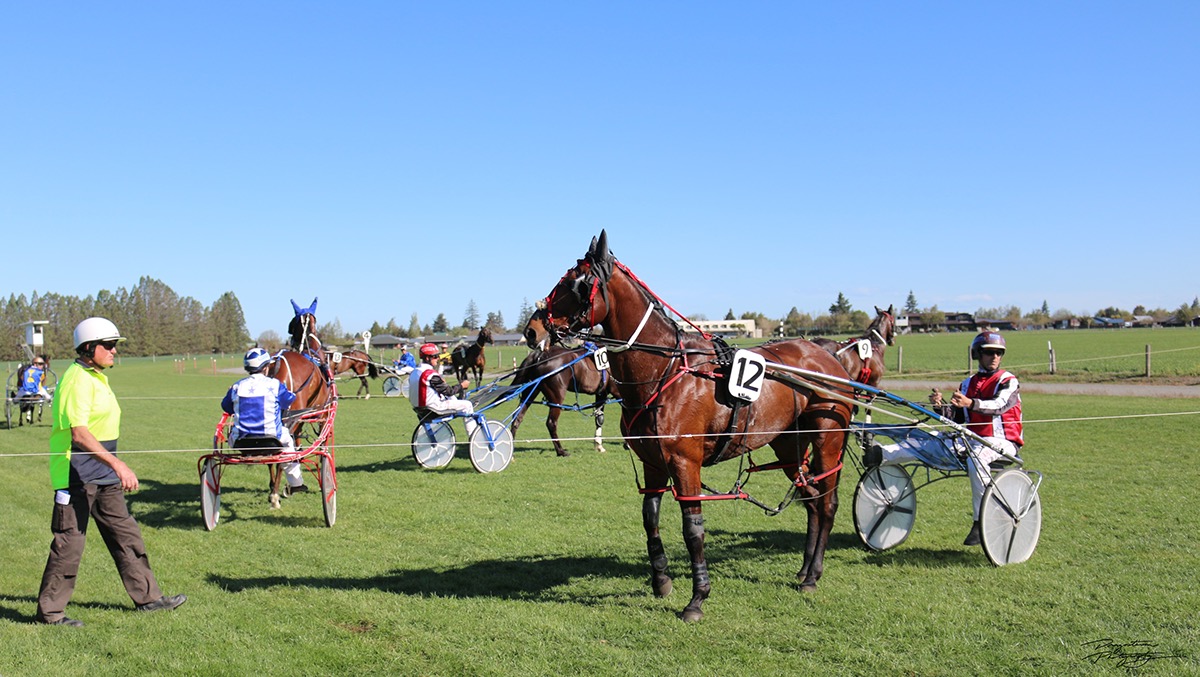 Family Day Out race day harness racing methven New Zealand NZ south island interesting outside Fun environmental Sol Vida