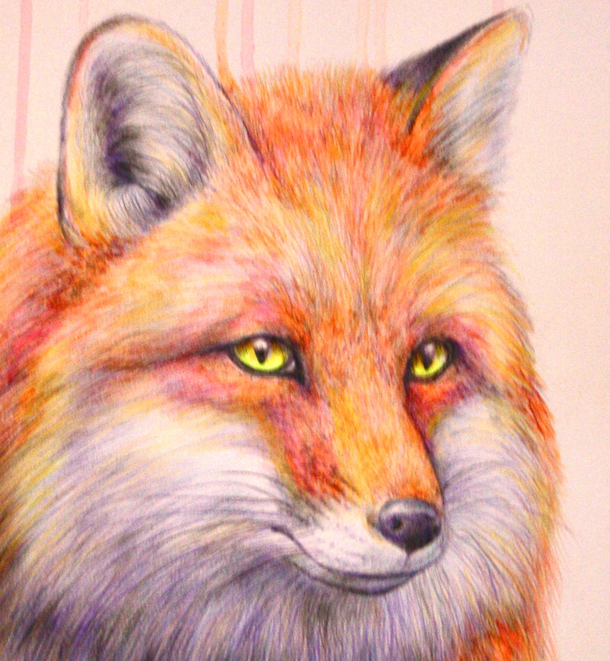 FOX Christmas neon Nature red pencil art