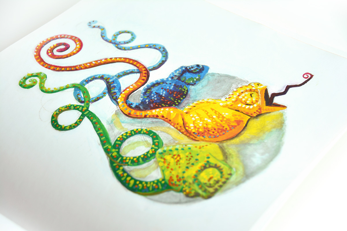 art book cover artwork paint color colorful napoleon chameleon handdrawn children Magic   imagination ludic detail