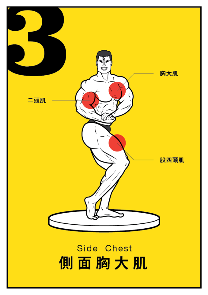 Re-LAB Body Building 圖解 muscle 健美姿勢 健美比賽 infographic