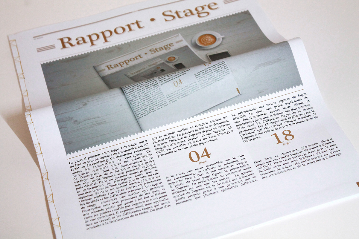 Layout journal design graphique composition graphique mise en page rapport Stage rapport d'activité edition