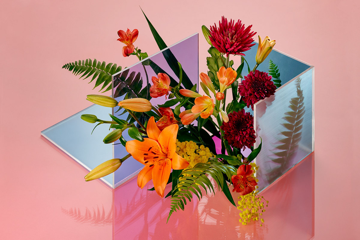 Wired Wired magazine magazine cover Photography  art direction  Flowers set design  plexiglass