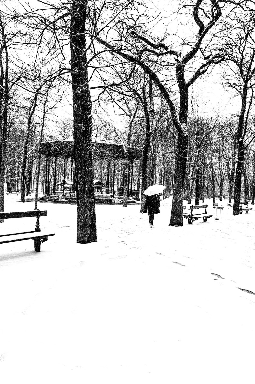 winter Paris black & white