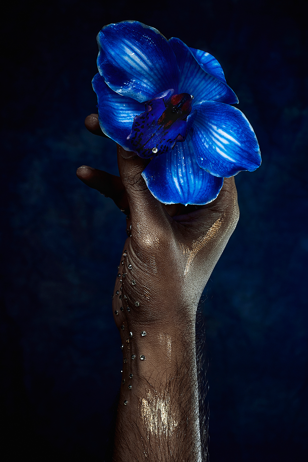 hand orchid skin blue shine rhinestone flower floral texture