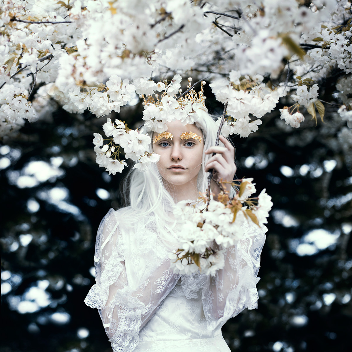 bella kotak fairytale spring england english in bloom blossoms Nature portrait Portraiture