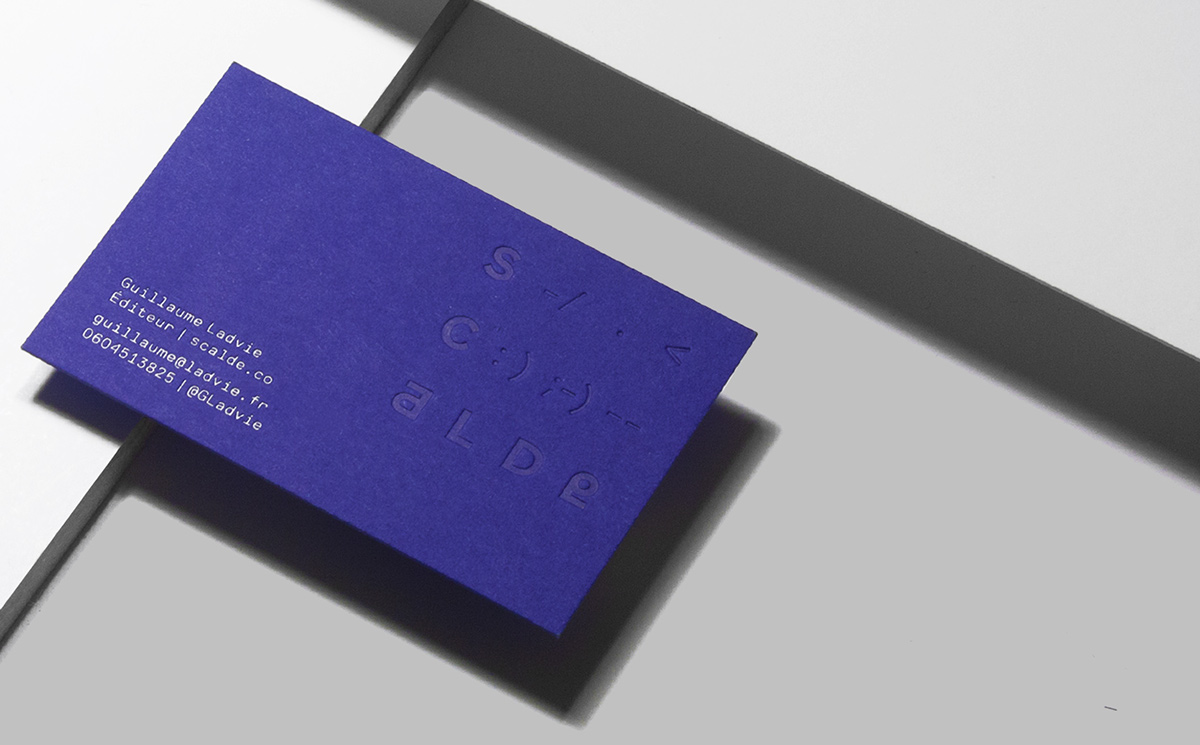 branding  colorplan businesscard identity blue nordic digital mountain
