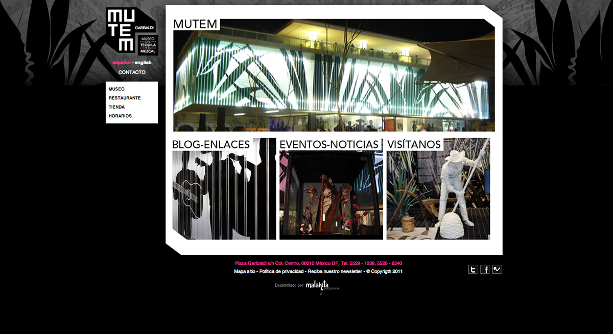 Web museum design Adobe Portfolio