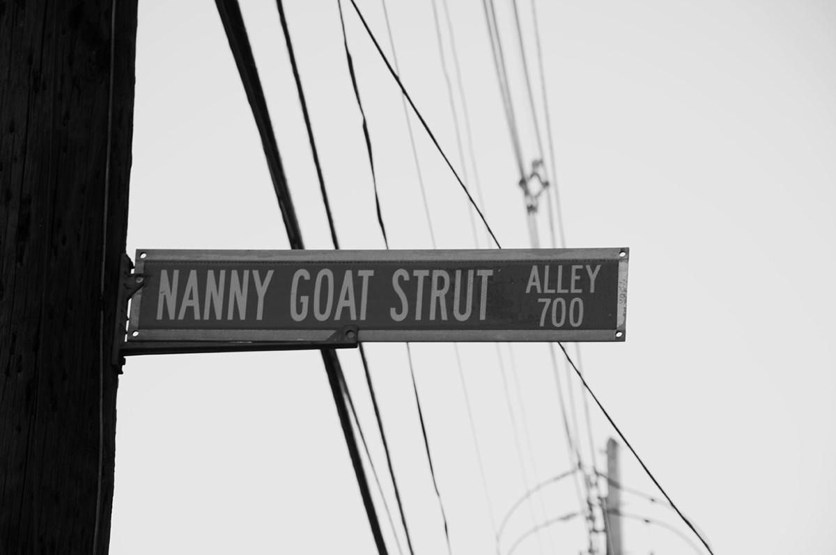 steve squall nanny goat strut alley louisville mika kron