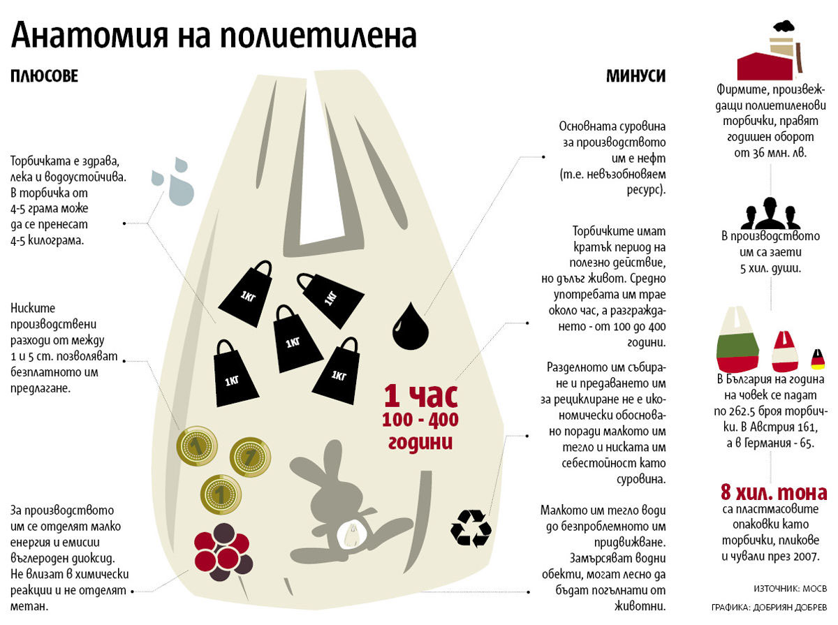 newspaper capital infographics dobrian dobrev