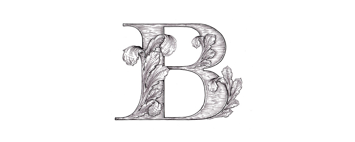 typography   lettering alphabet Acanthus anotheroutsider