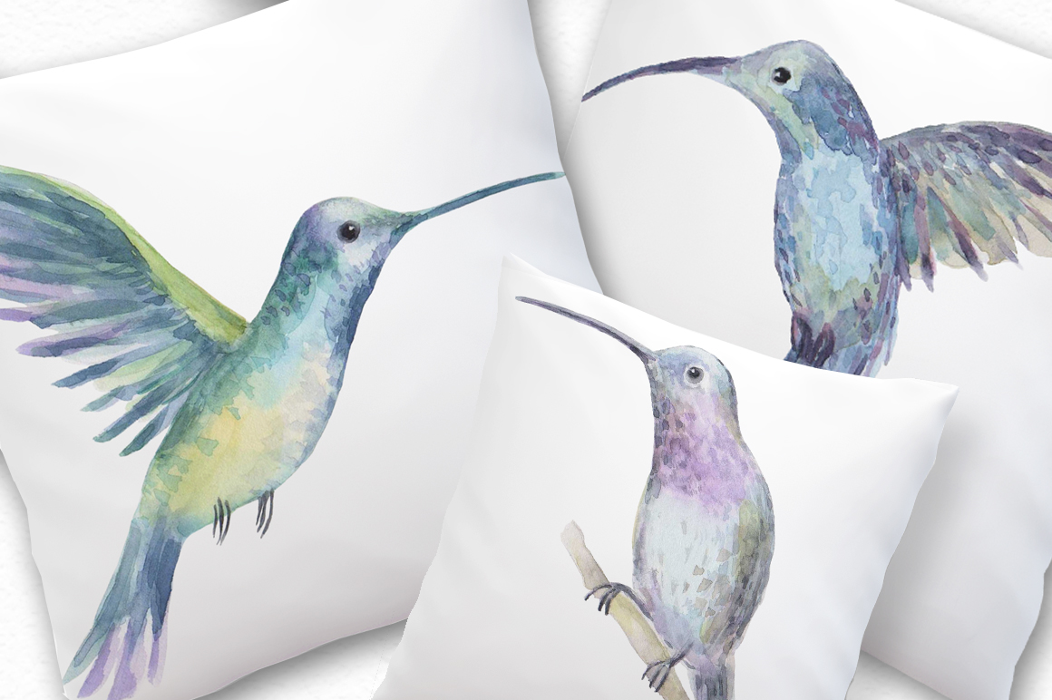 colibri bird birds tropic Tropical watercolor ILLUSTRATION  hummungbirds