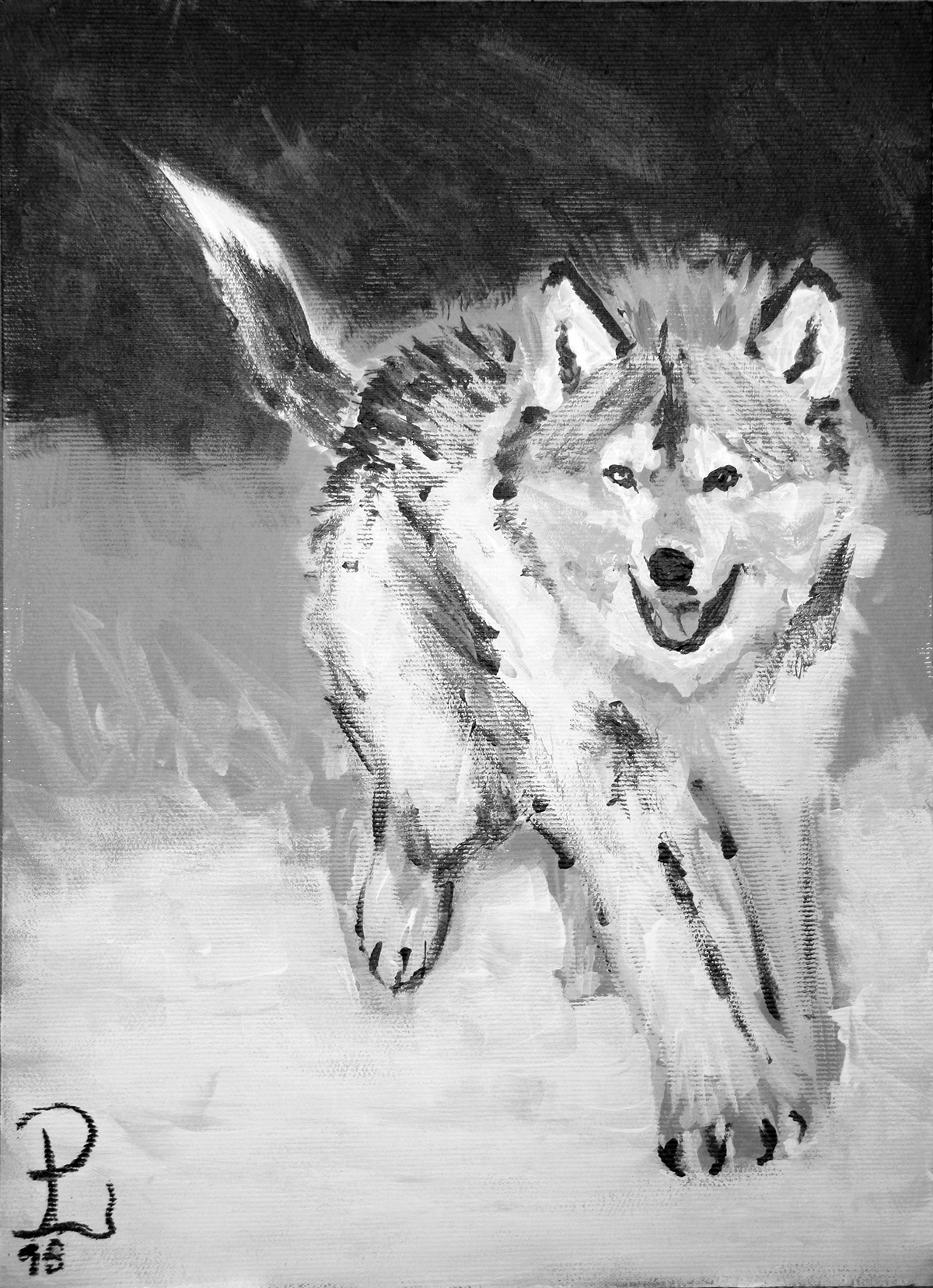 wolf acrylics black and white