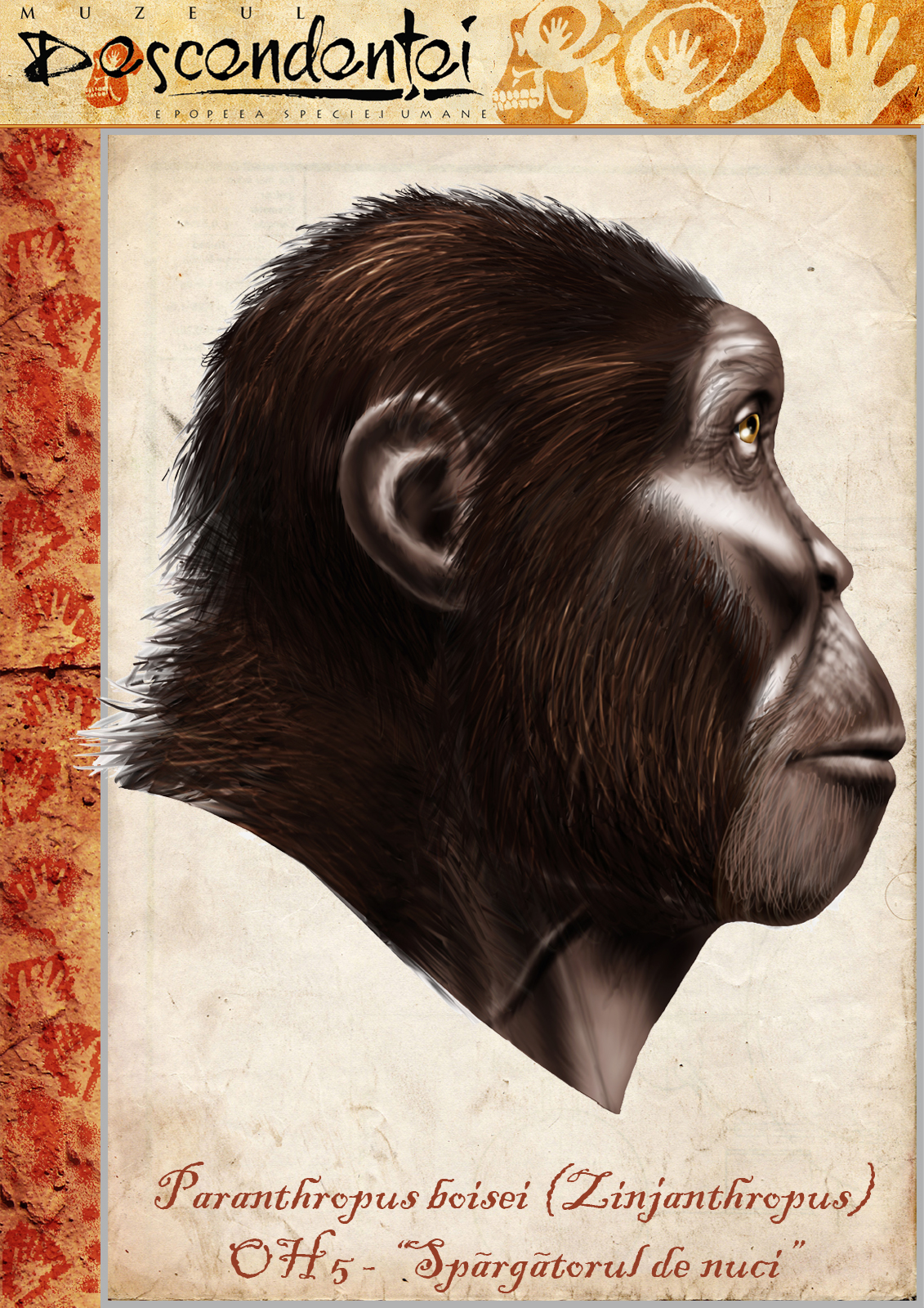 homo neanderthal neanderthalensis erectus ergaster habilis heidelbergensis paranthropus cavemen apeman hominin evolution human nutcracker man boisei