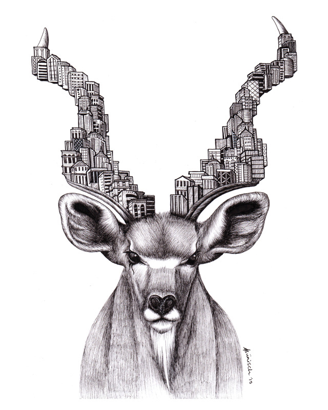 Kudu horns city buildings black and white africa animals Nature