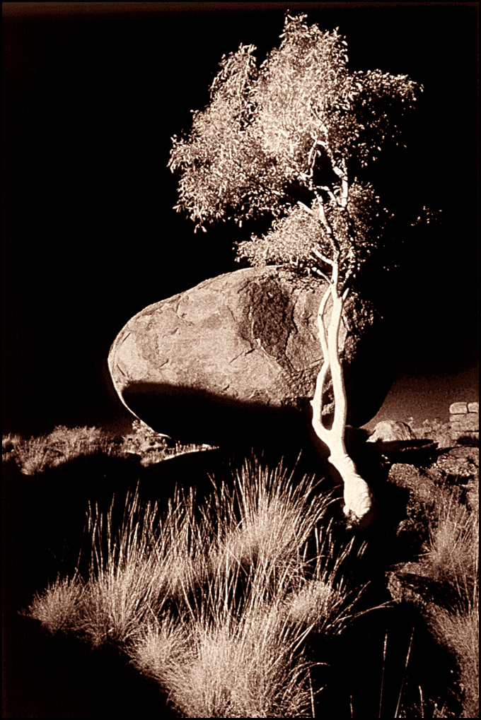 infrared film Australian Landscape. Ruby Spowart