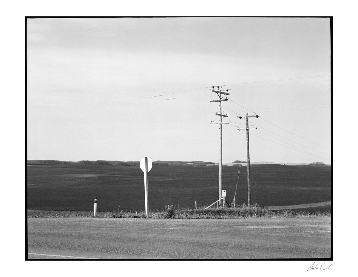 Photography  Film   digital analog Landscape black and white color