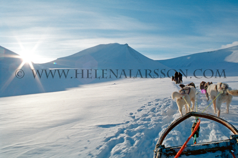 Arctic adventure Svalbard glaciers dogsledging ice