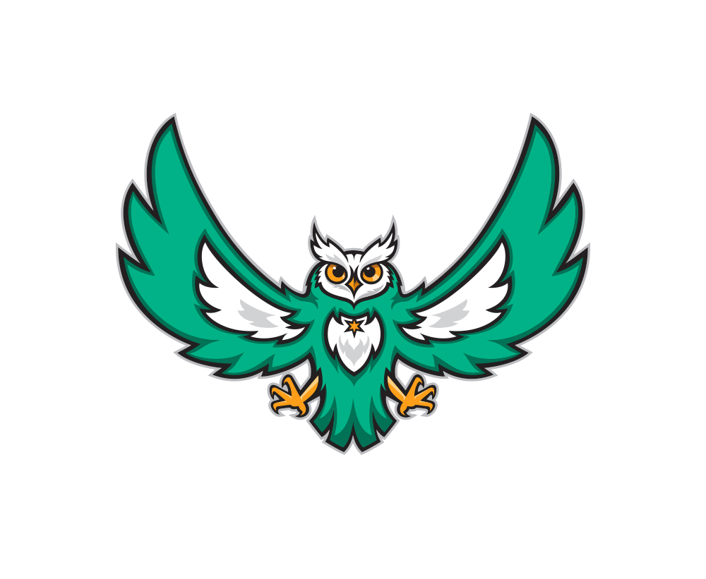 owl knight wolf hawk eagle maverick horse thoroughbred medieval shield sports Phoenix Trailblazer cowboy wizard