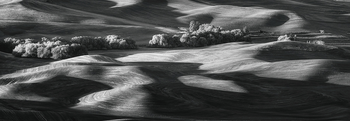 Outdoor Photography  Nature palouse Landscape monochrome black and white agriculture rural countryside