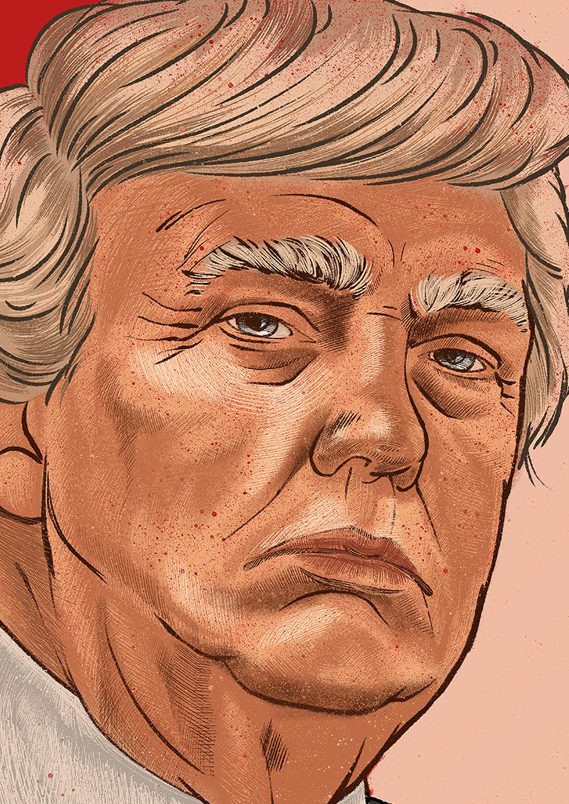 Trump president america portrait usa Donald Trump Great Again politycs ILLUSTRATION  ipadart