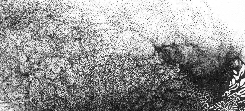 draw art illustrate Teardrop ink Landscape figurative color detail dot Dash surreal moth Monochromatic