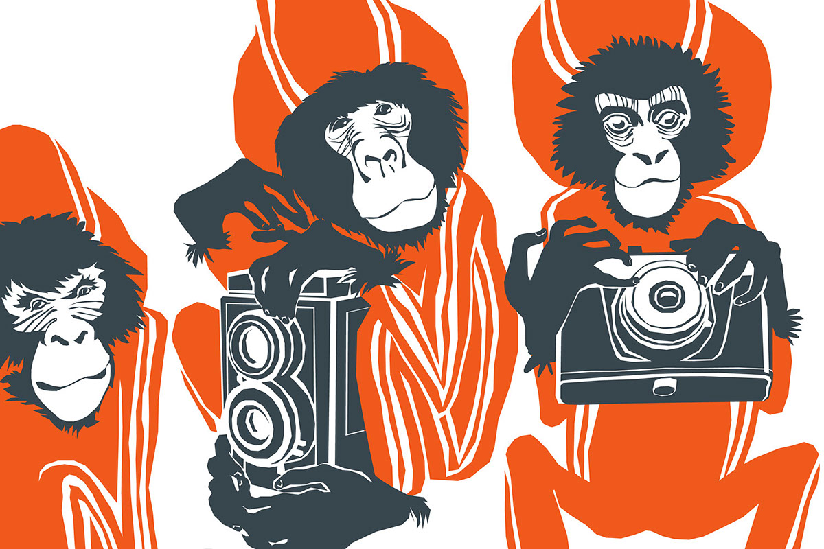 identity adverticing graphic design  monkey elektronyi gorod 
