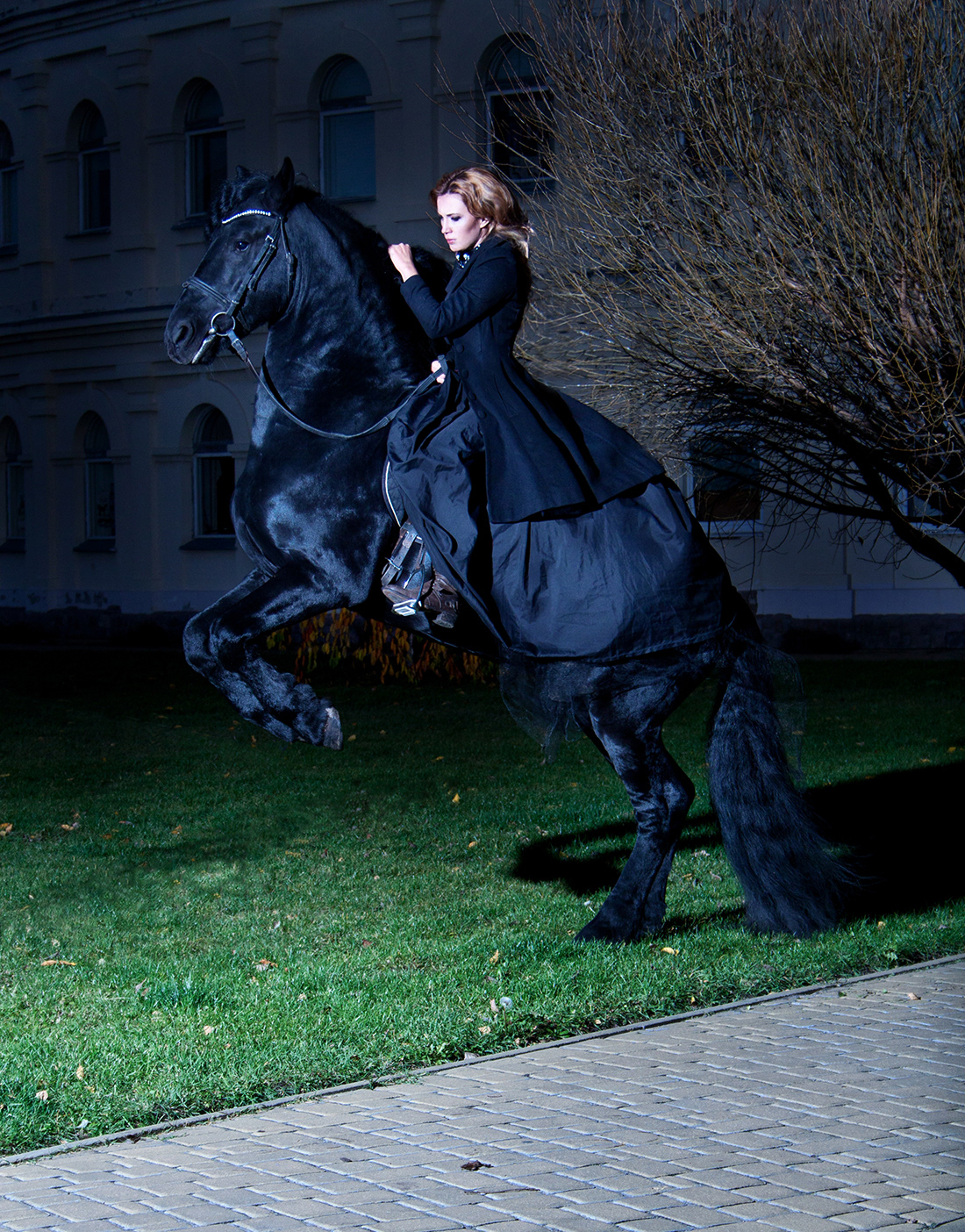 horse/black/stallion/woman/dress/black_dress/blak_horse
