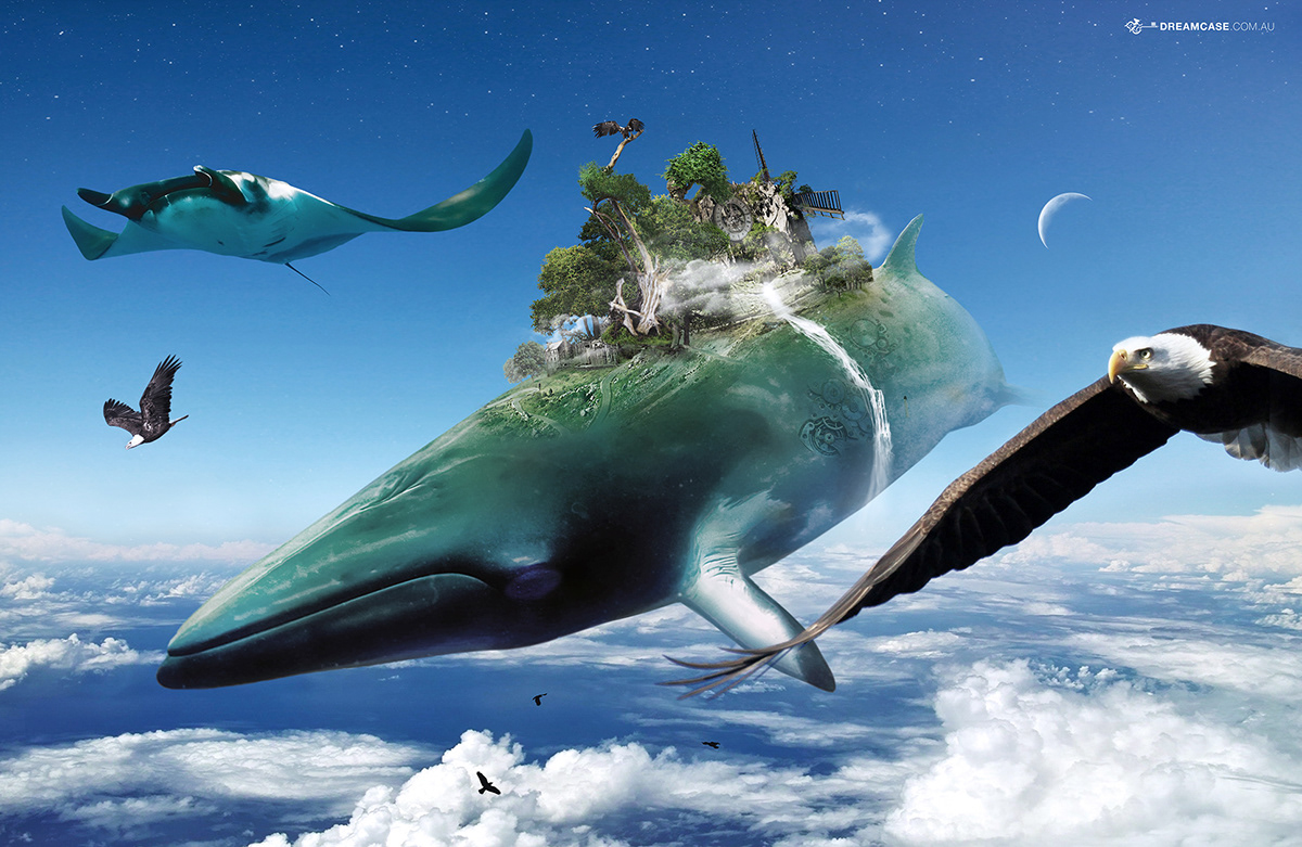 Whale animals SKY Island dreamcase