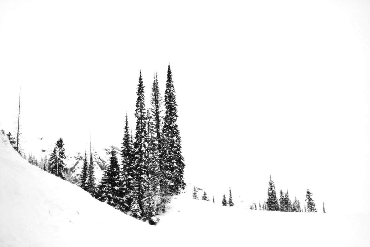 fernie mountain bc Ski snowboard photo vintage Classic Canada snow Tree 