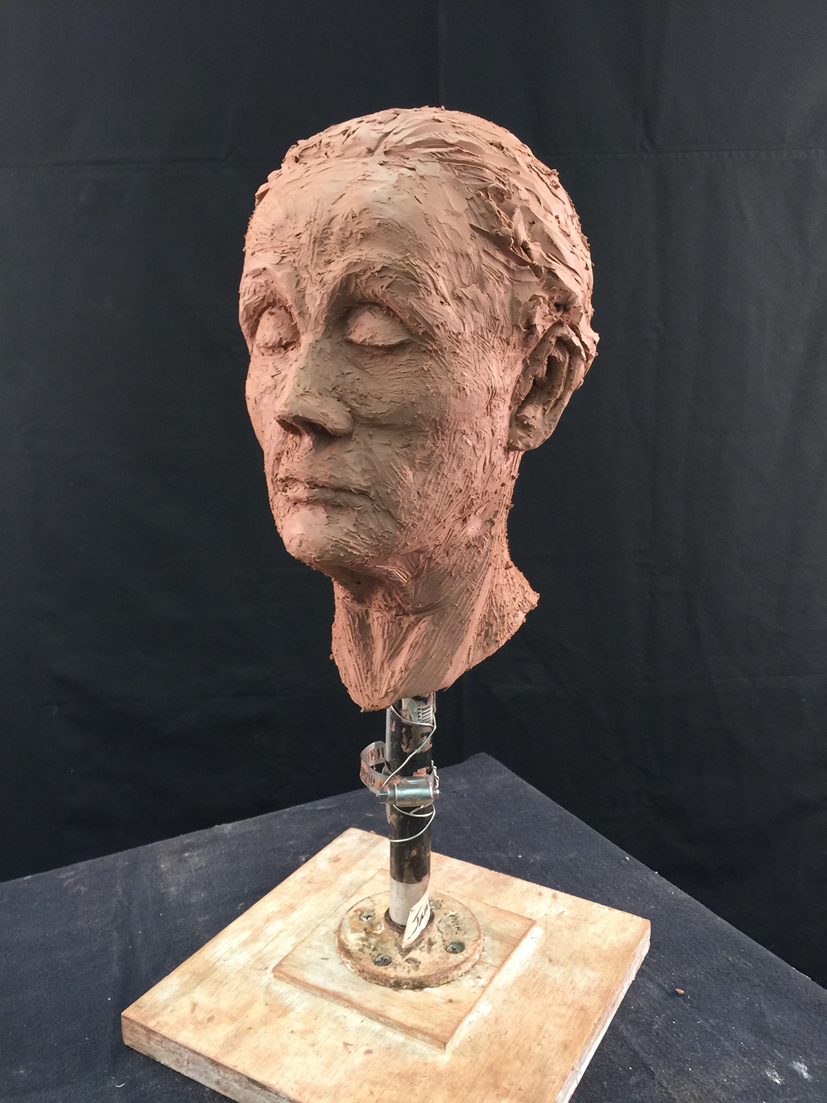 portrait figure modeling Plasticine