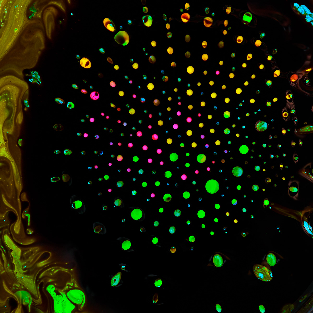 ferrofluid Magnetic liquids Colourful  paint stilllife