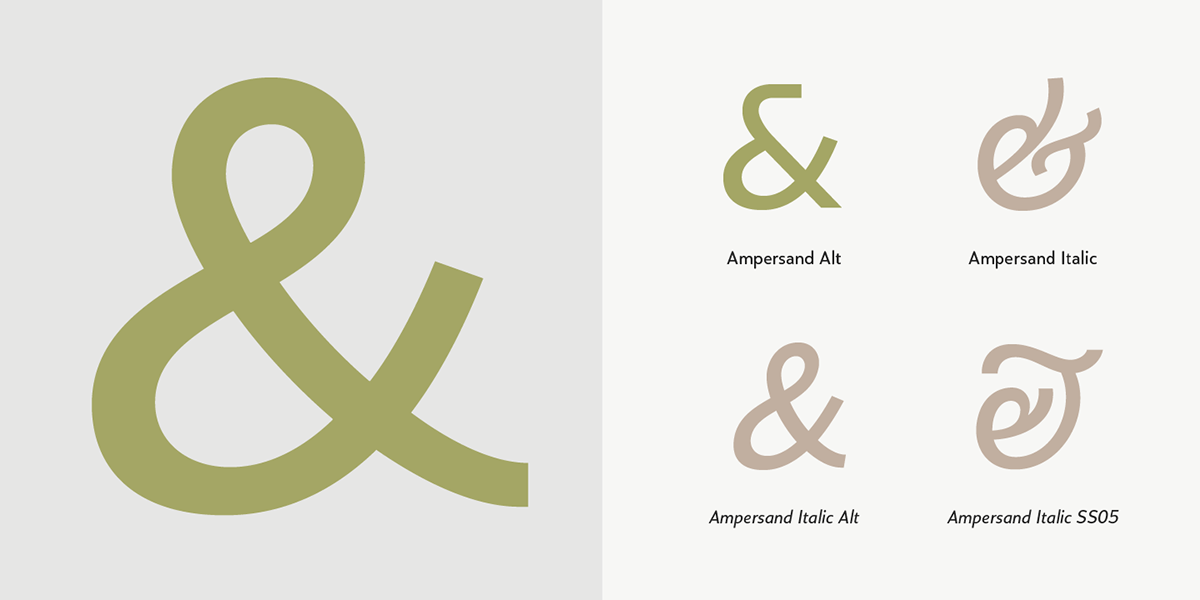 book branding  Free font Layout magazine type design Typeface typography   webfont font