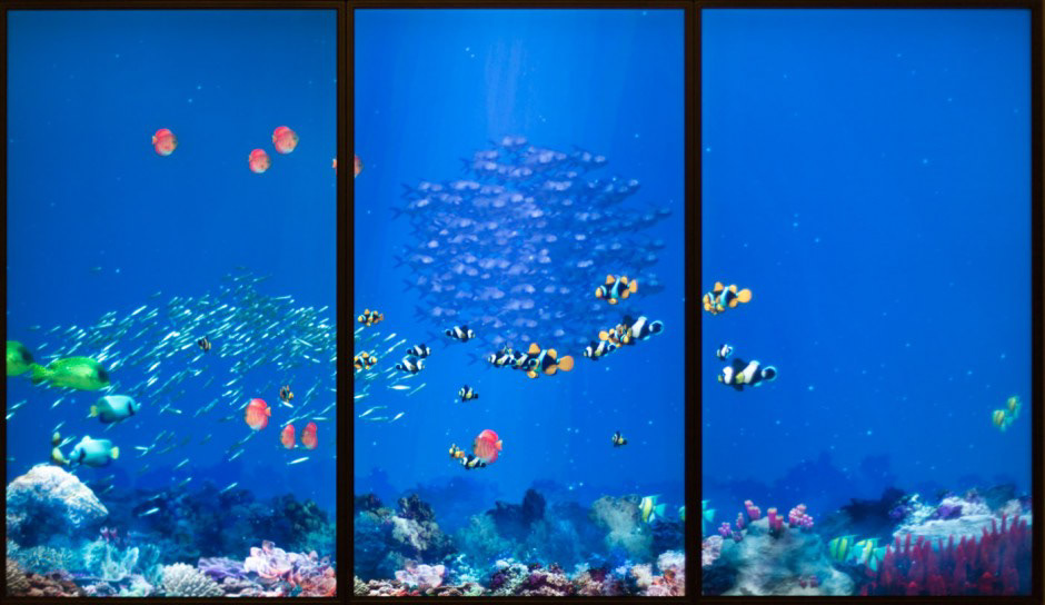 Cinimod cinimod studio  jon stewart aquarium fish interactive projection