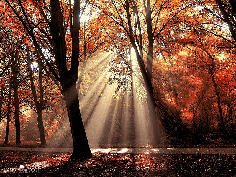 Nature Landscape Fall autumn sun rays Magical colors sunbeams