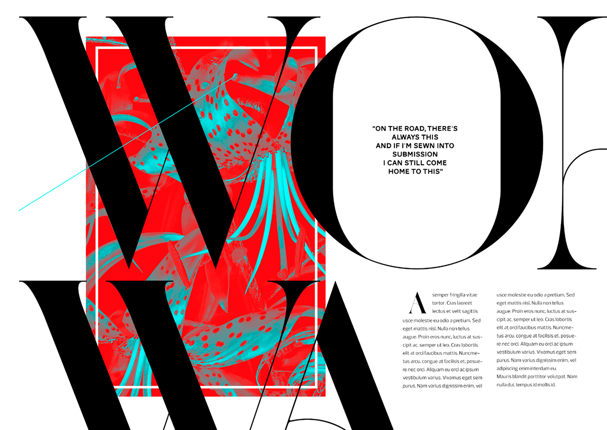 font fonts Typeface typefaces magazine Didot bodoni Ligatures swash Swashes glamour exuberant class feminine Display