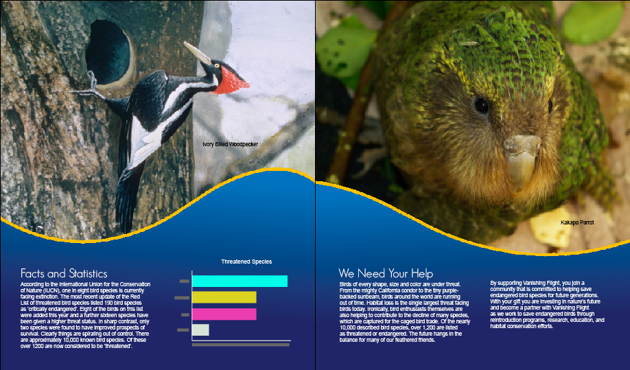 birds brochure Website