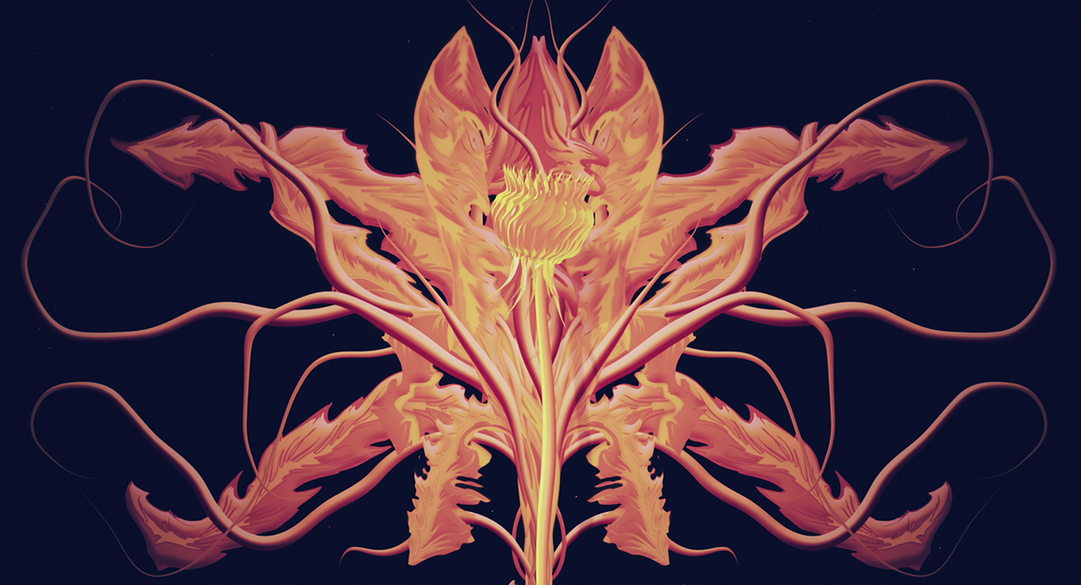 motiondesign motiongraphics jellyfish flower animation  dandelion ecosystem biodiversity Abyss spring