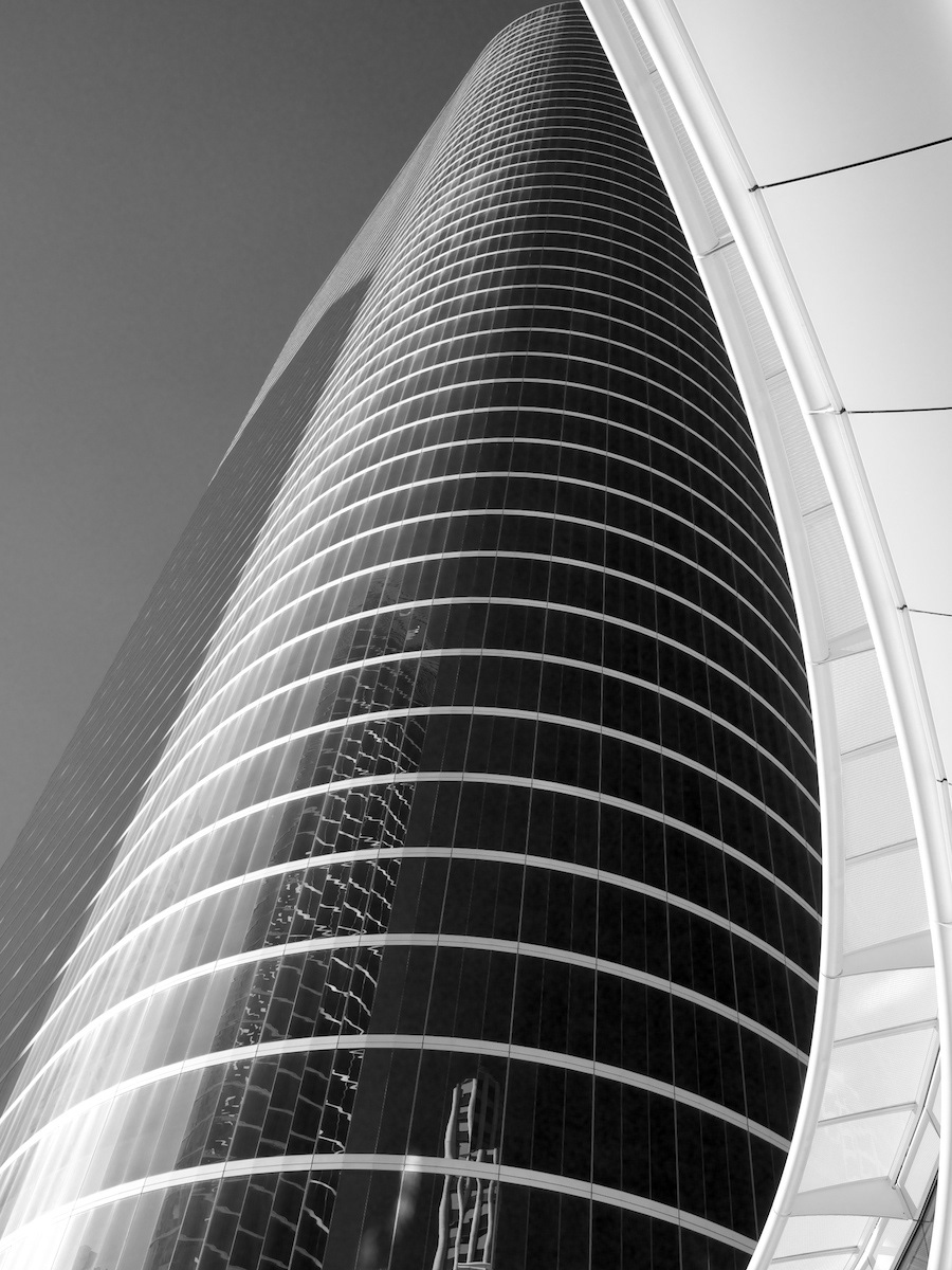 skyscraper houston b&w downtown pattern
