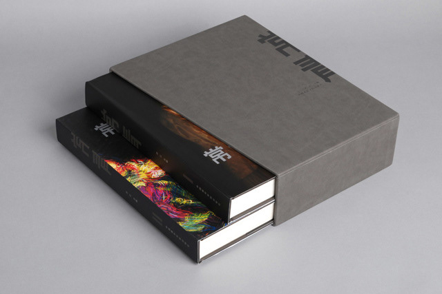 artist Collection art album book design Chang Qing