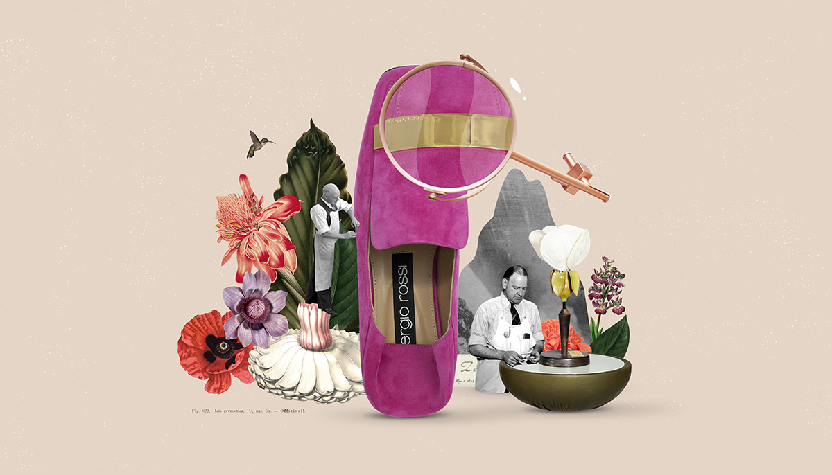 collage motion animation  shoes Sergio Rossi ILLUSTRATION 