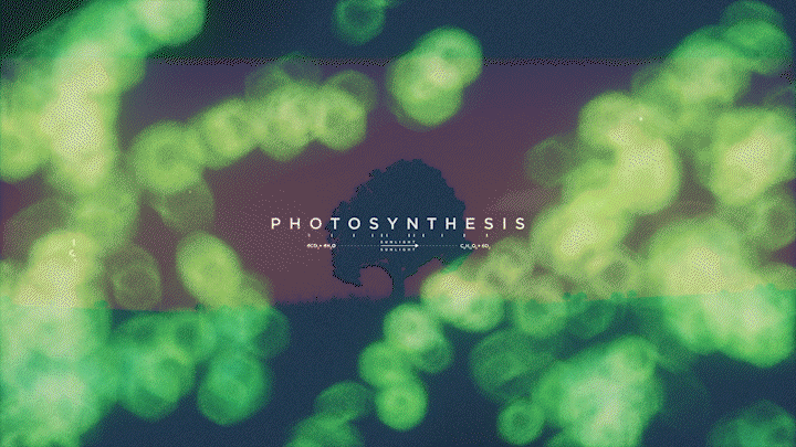 Photosynthesis on Behance